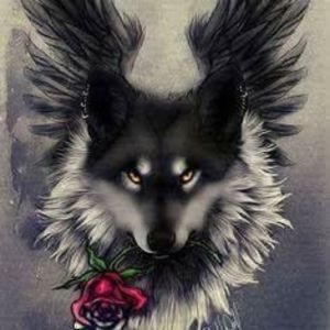 Meet your Posher, Kerry